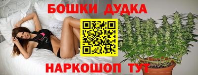 стафф Нарткала
