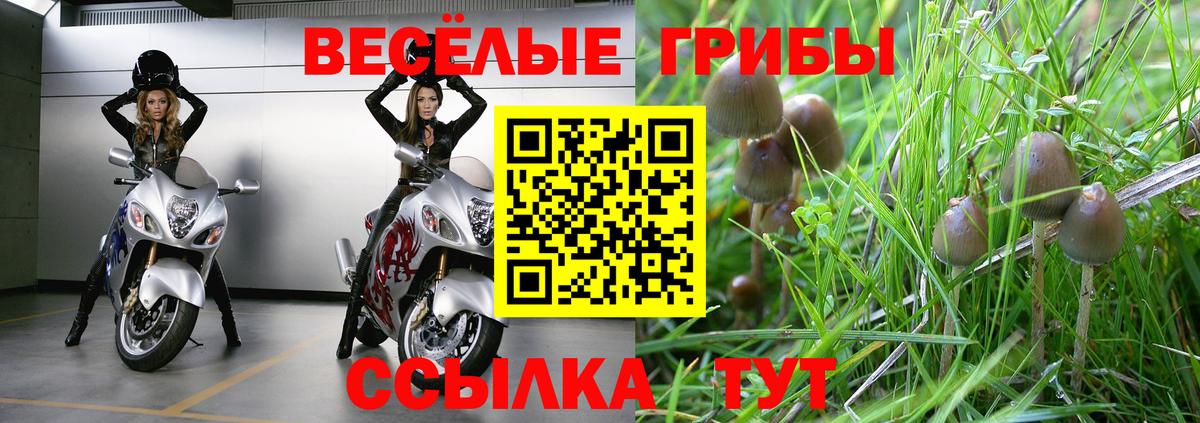 Псилоцибиновые грибы прущие грибы Владикавказ