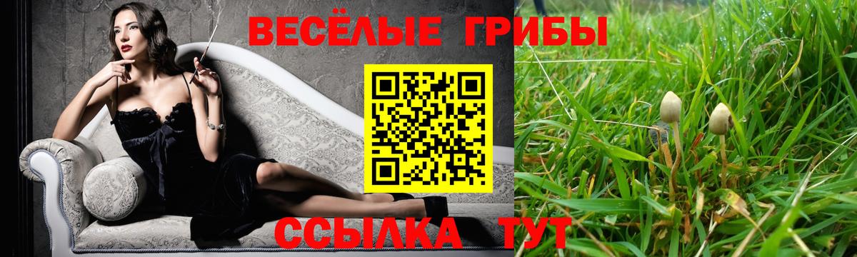 Владикавказ  Псилоцибиновые грибы GOLDEN TEACHER  Вход с VPN  Галлюциногенные грибы Cubensis 
